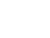 vikiodalys.lt