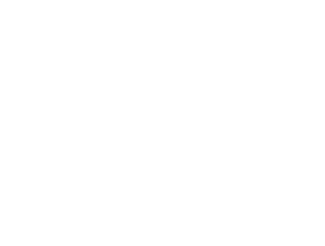 vikiodalys.lt
